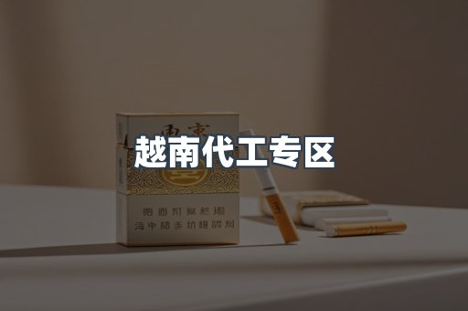 越南代工专区